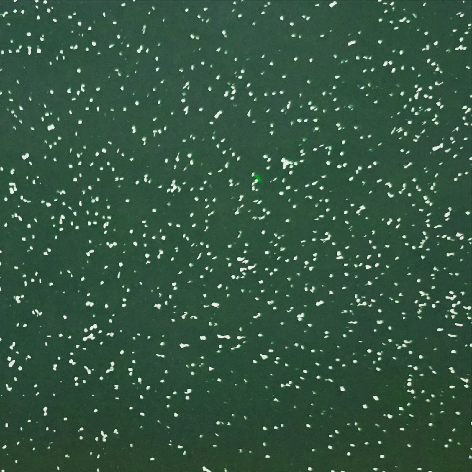 Seaweed pattern for Robries Polymer Sheet