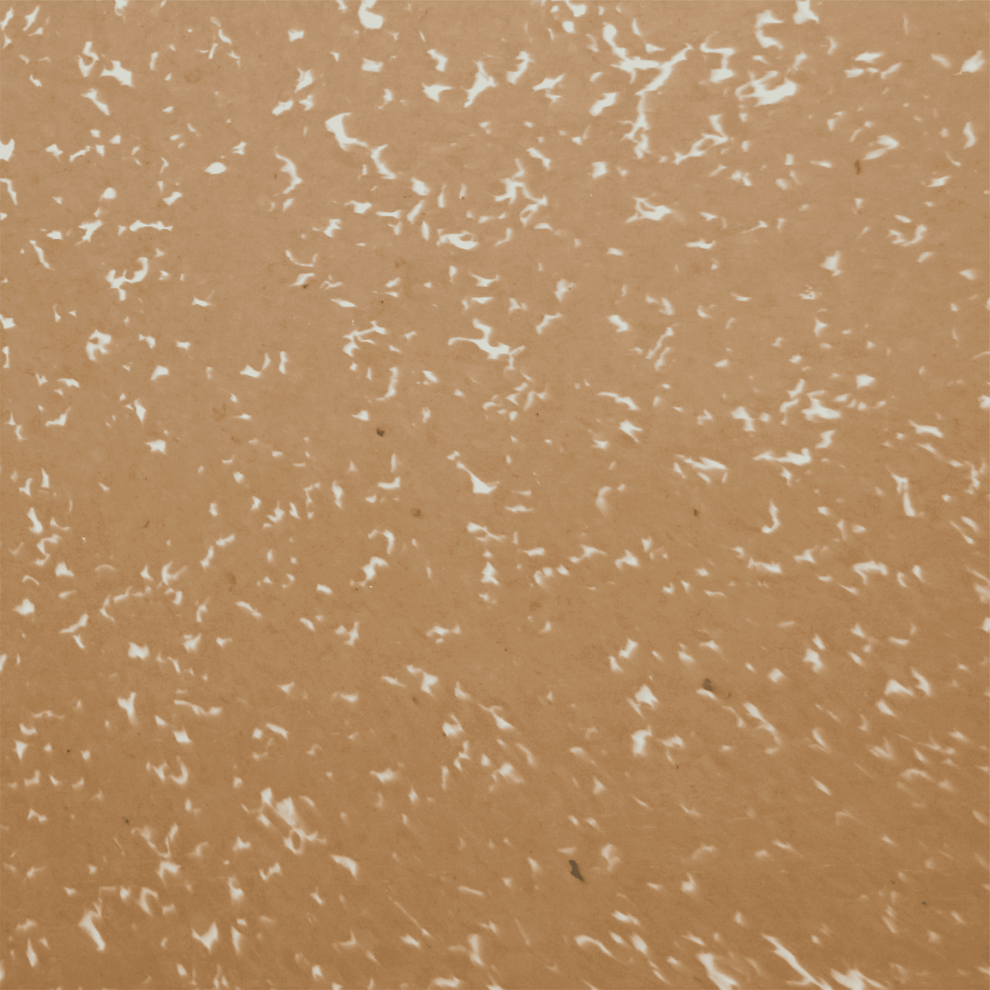 Cashew pattern for Robries Polymer Sheet