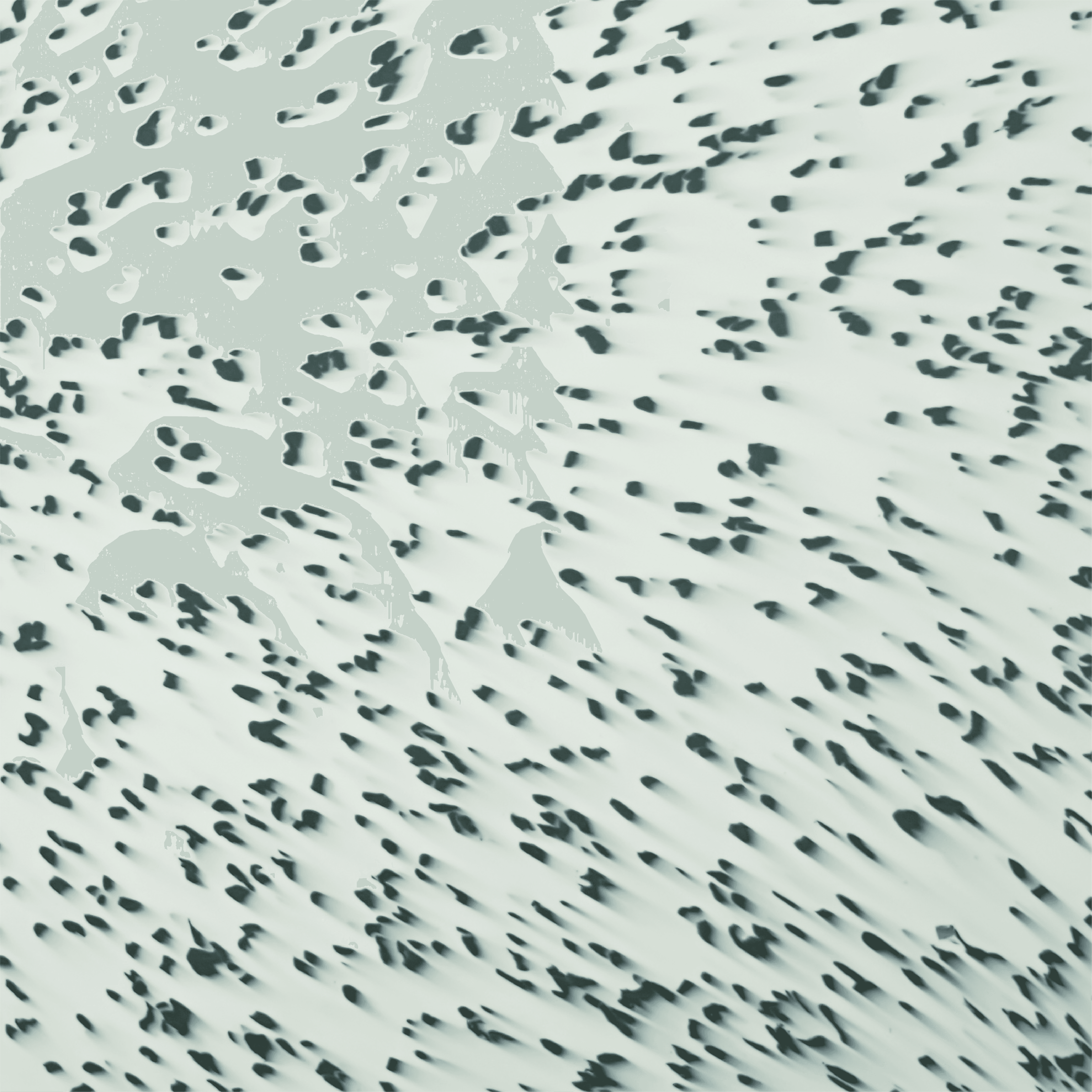 White Seeds pattern for Robries Polymer Sheet
