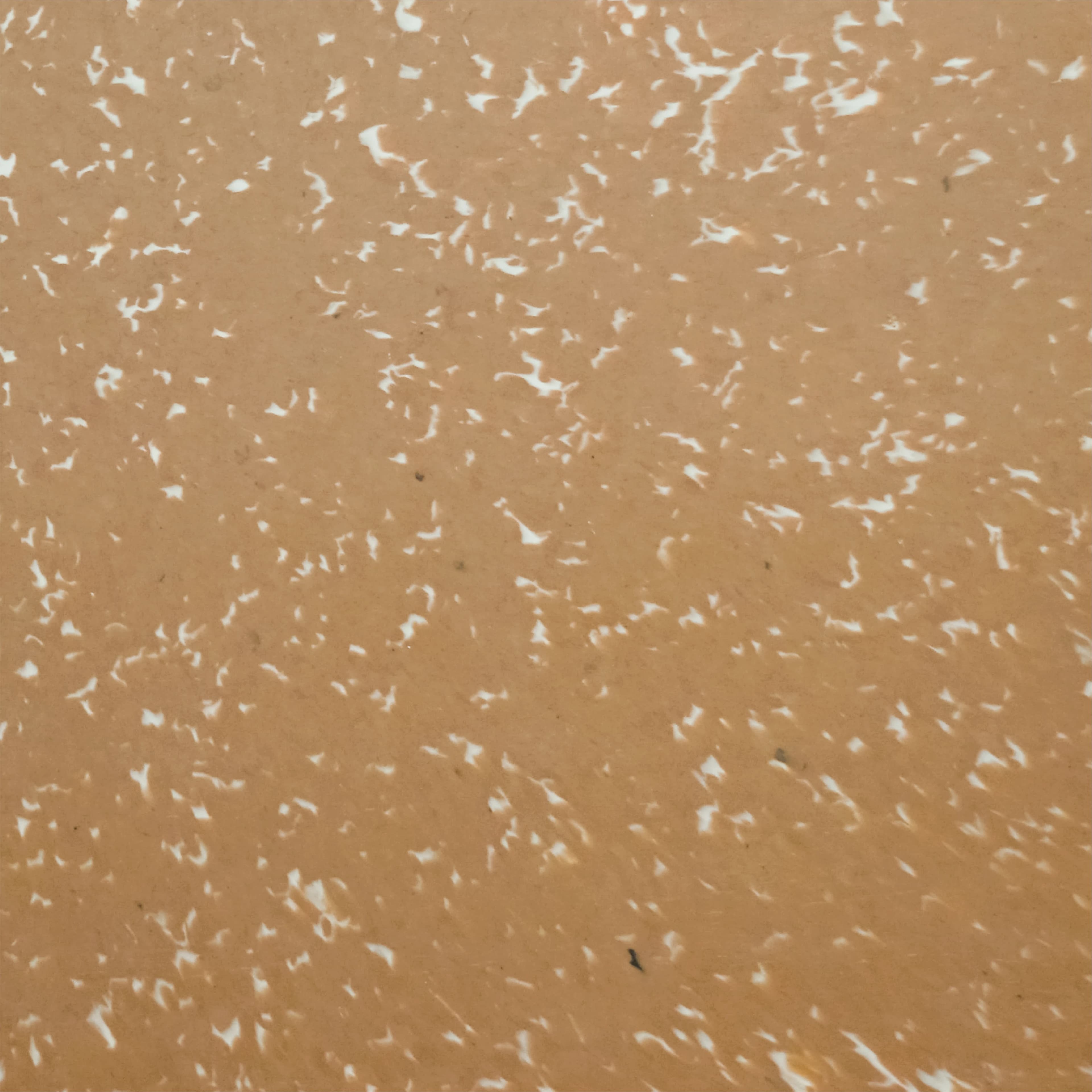 SAMPLE CASHEW SHEETS